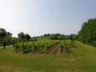dsc07929_small.jpg