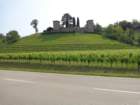 dsc07969_small.jpg