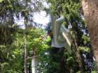 dsc08053_small.jpg