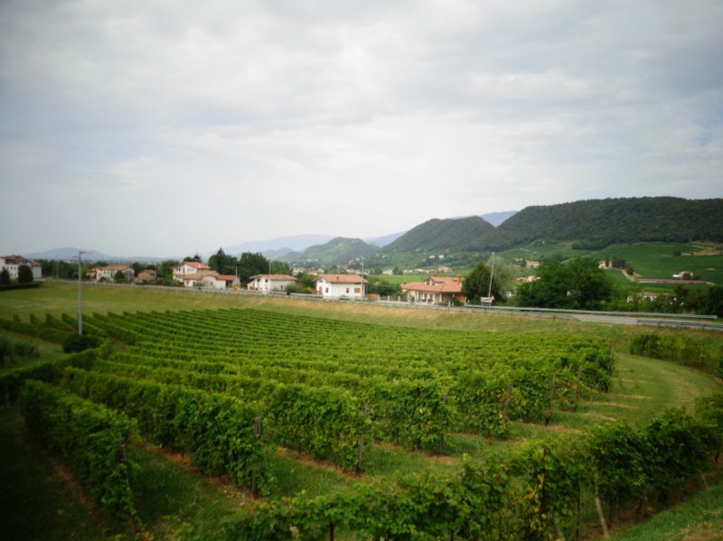 dsc08283.jpg