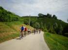 dsc08313_small.jpg