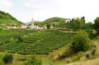 dsc08322a_small.jpg