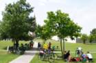 dsc08371a_small.jpg