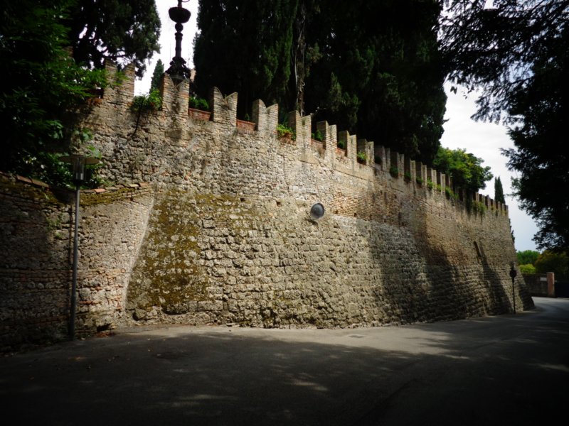 dsc08382.jpg