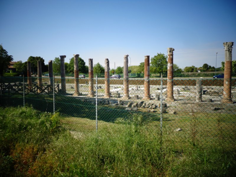 dsc01445.jpg