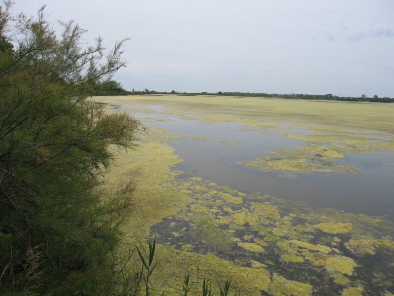 photo11.jpg