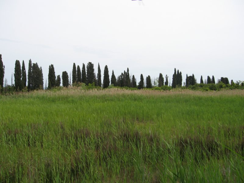 photo12.jpg