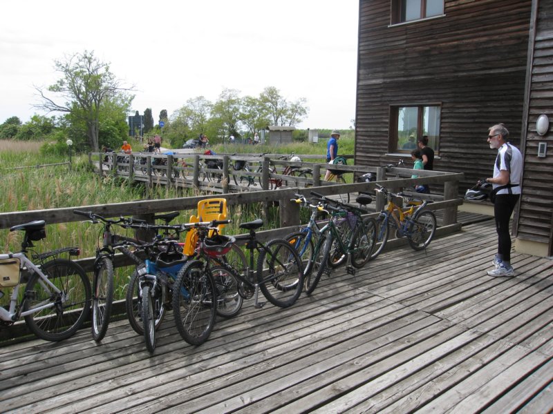 photo21.jpg