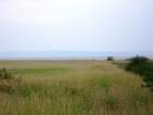 photo25_small.jpg