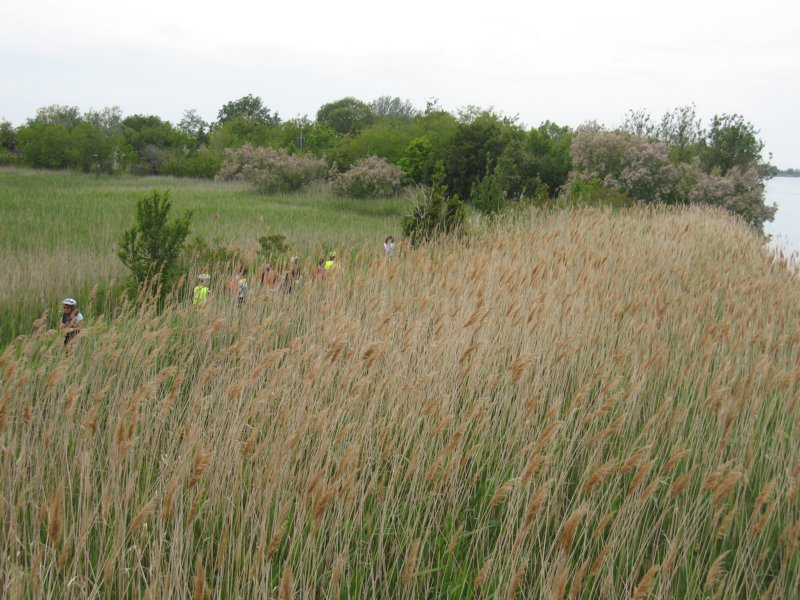 photo35.jpg