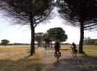 dsc09314_small.jpg