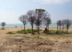 dsc093212_small.jpg