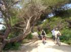dsc09330_small.jpg