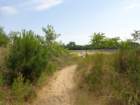 dsc09352_small.jpg