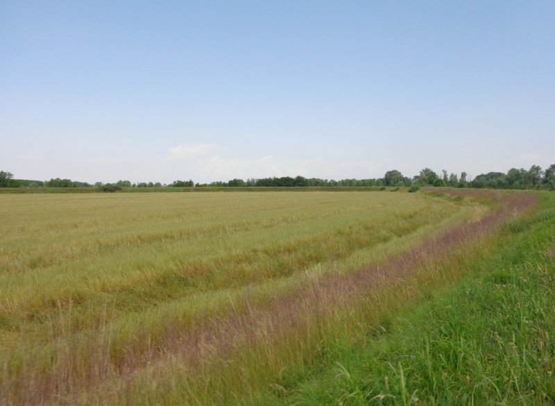 dsc09385.jpg