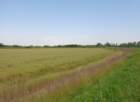 dsc09385_small.jpg