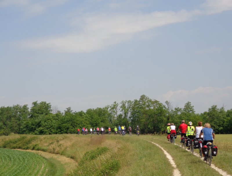 dsc09420.jpg