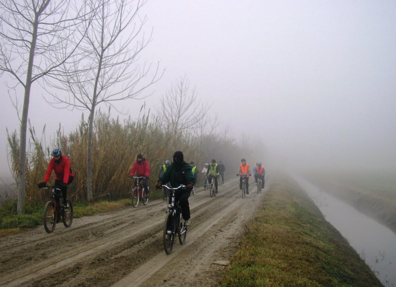 photo11.jpg