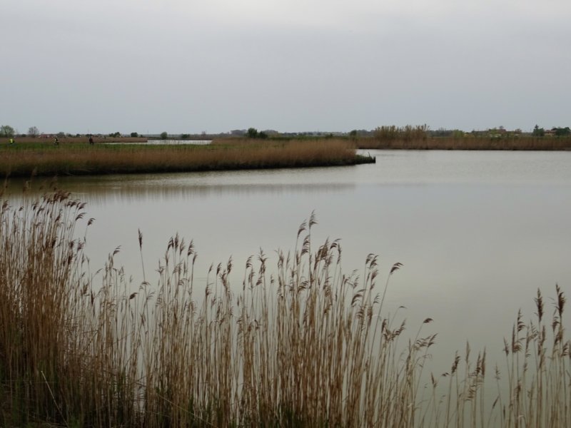 dsc04630.jpg