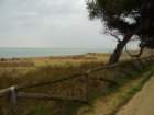 dsc04718_small.jpg