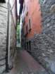dsc06478_small.jpg