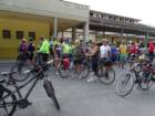 dsc06486_small.jpg