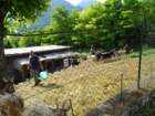 dsc06494_small.jpg