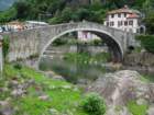 dsc06604_small.jpg