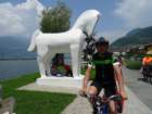 dsc06668_small.jpg