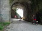 dsc06710_small.jpg