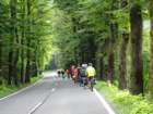 dsc01245_small.jpg