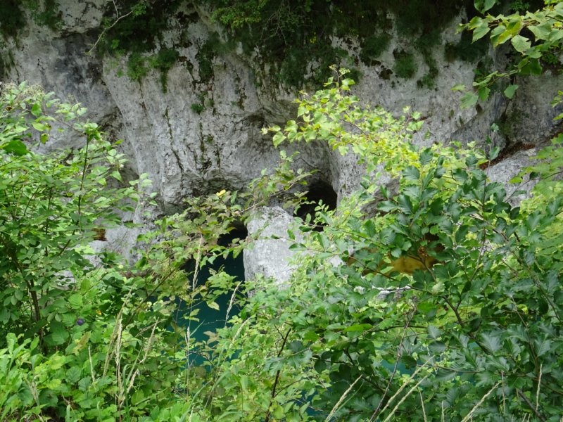 dsc01268.jpg