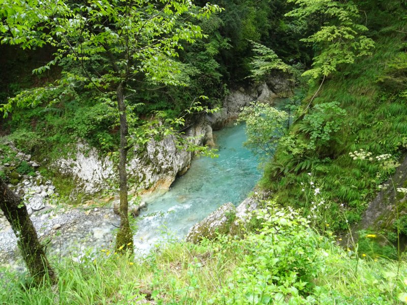 dsc01345.jpg