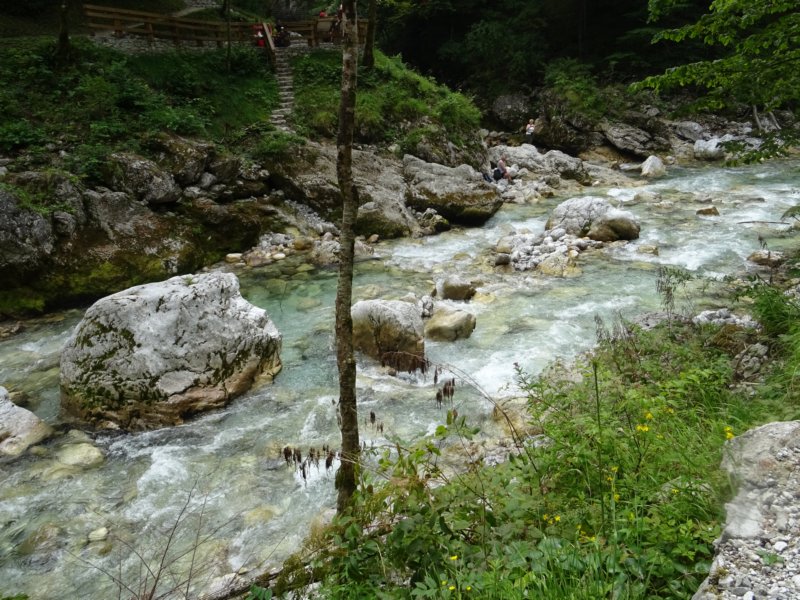 dsc01354.jpg