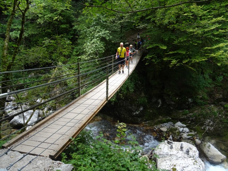 dsc01386.jpg