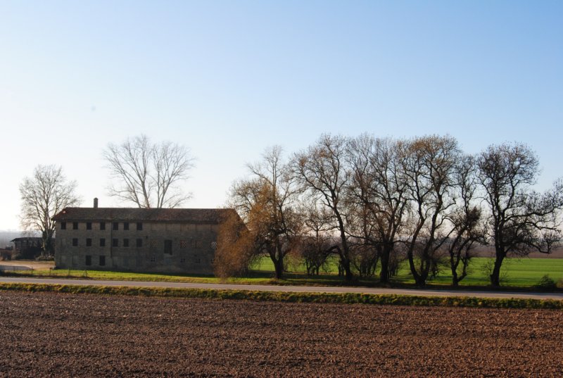 dsc_0338.jpg