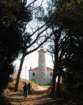 dsc_0358_small.jpg