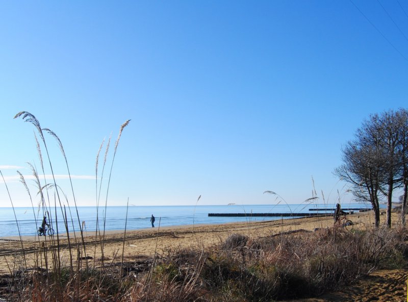 dsc_0370.jpg