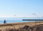 dsc_0372_small.jpg