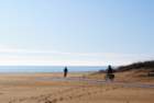 dsc_0386_small.jpg