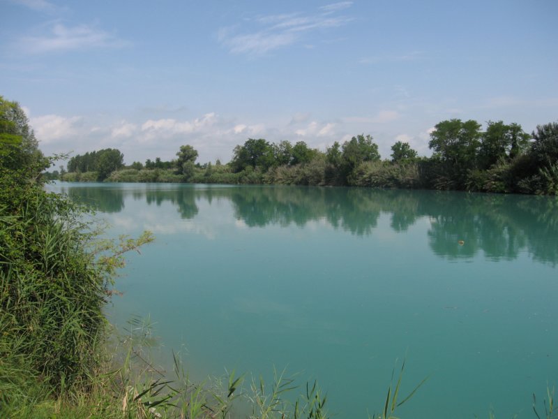 img_8977.jpg