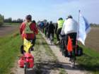 cesarolobibione942012007_small.jpg