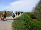cesarolobibione942012009_small.jpg
