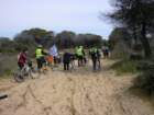 cesarolobibione942012054_small.jpg