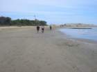 cesarolobibione942012058_small.jpg