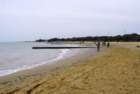 cesarolobibione942012061_small.jpg