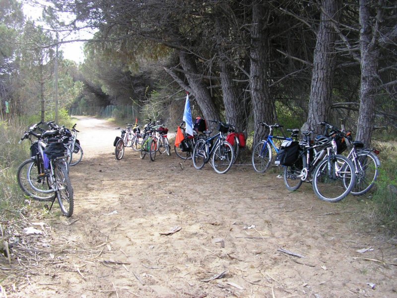 cesarolobibione942012073.jpg