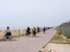 dsc_0494_small.jpg