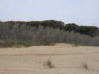 img_9739_small.jpg