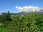 dsc04180_small.jpg